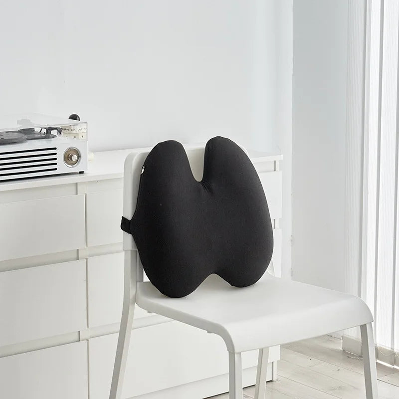 BackEase Lumbar Pillow