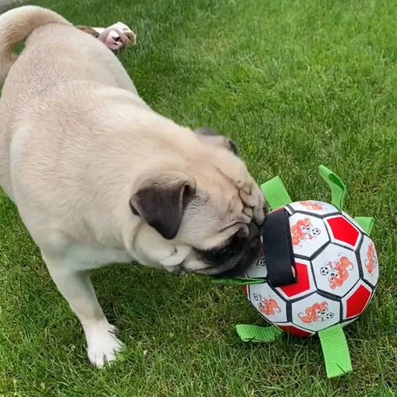 Chew-Tough Dog Football Toy