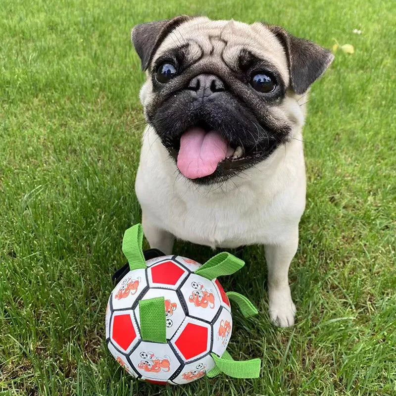 Chew-Tough Dog Football Toy